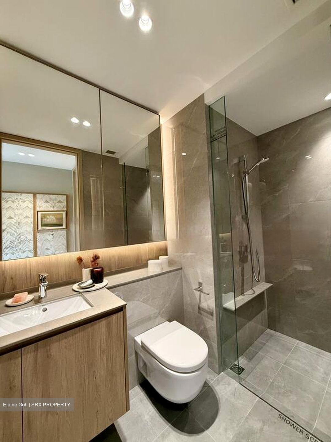 Pinetree Hill (D21), Condominium #474669111